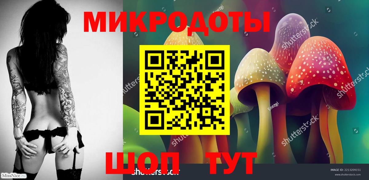 Псилоцибиновые грибы Psilocybine cubensis Салават